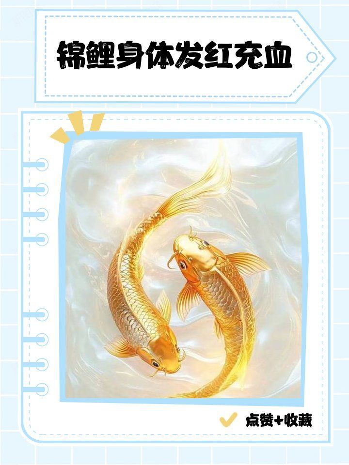 魚鱗充血最簡(jiǎn)單方法