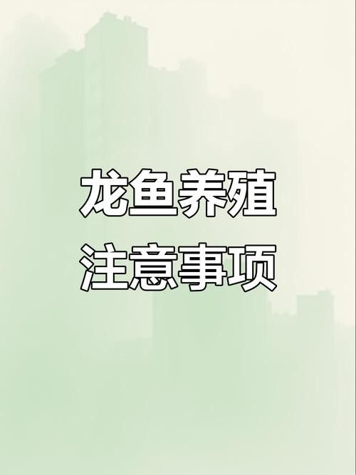 龍魚跳缸是什么原因呢怎么解決圖片