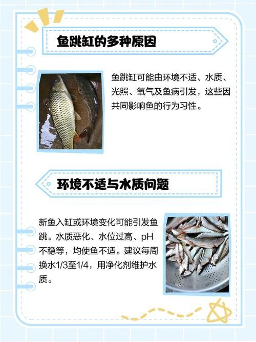 龍魚跳缸是什么原因呢怎么解決圖片