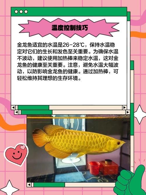 龍魚跳缸是什么原因呢怎么解決圖片
