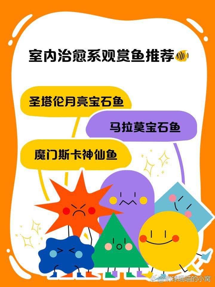 馬拉莫魚(yú)壽命受什么影響