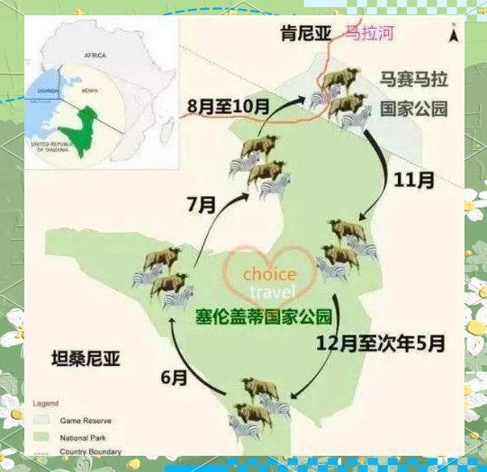 馬拉莫魚(yú)壽命受什么影響