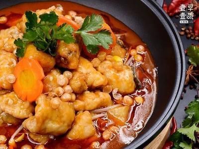 龍魚可以吃雞肉嗎為什么會死：龍魚可以吃雞肉嗎