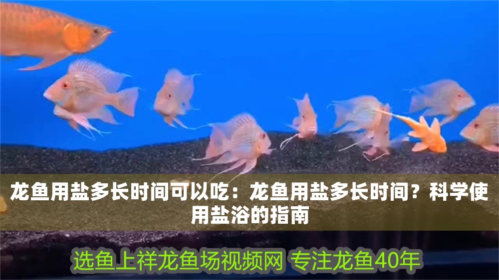 龍魚用鹽多長時間可以吃：龍魚用鹽多長時間？科學(xué)使用鹽浴的指南
