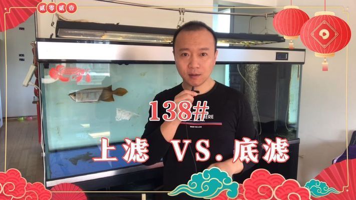 龍魚上濾好還是底濾好：龍魚魚缸上濾與底濾的區別