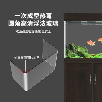 龍魚上濾好還是底濾好：龍魚魚缸上濾與底濾的區別