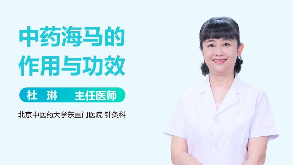 海馬和海龍的價(jià)格是多少？