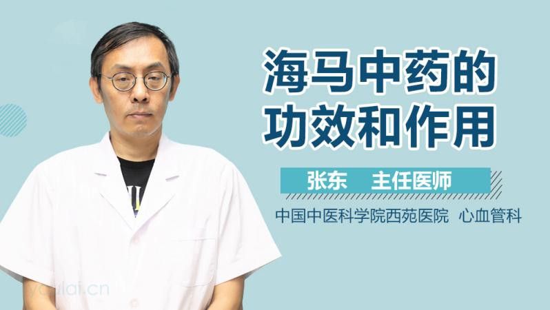 海馬和海龍的價(jià)格是多少？