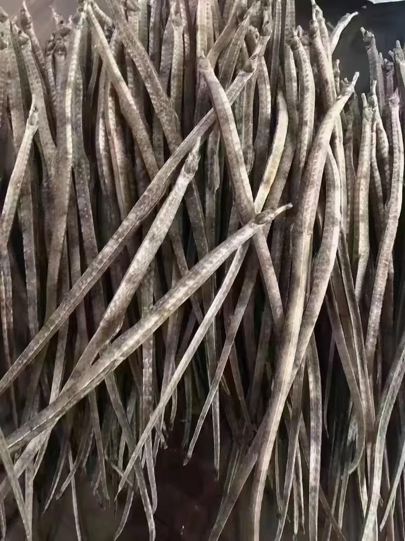 海馬和海龍的價格是多少？