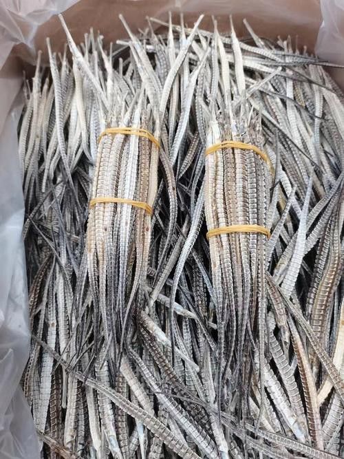 海馬和海龍的價格是多少？