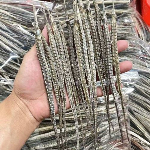 海馬和海龍的價格是多少？