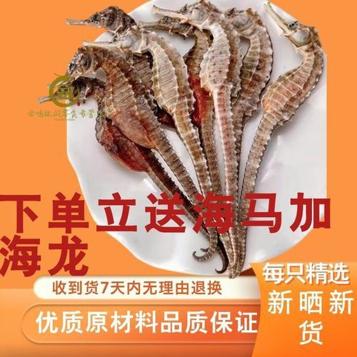 海馬和海龍的價格是多少？