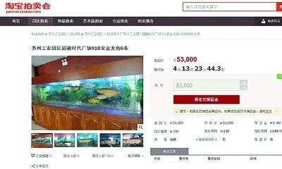 金龍魚最高拍賣價是多少金龍魚最高拍賣價格是多少：金龍魚最高拍賣價是多少金龍魚最高拍賣價是多少