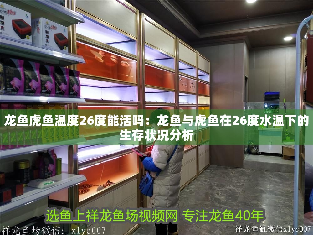 龍魚(yú)虎魚(yú)溫度26度能活嗎：龍魚(yú)與虎魚(yú)在26度水溫下的生存狀況分析