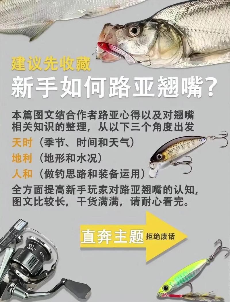 翹嘴魚和金龍魚的區(qū)別在哪里圖片
