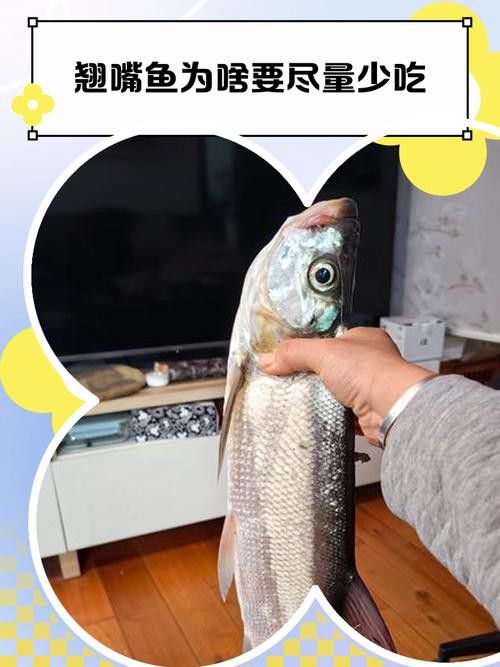翹嘴魚和金龍魚的區(qū)別在哪里圖片