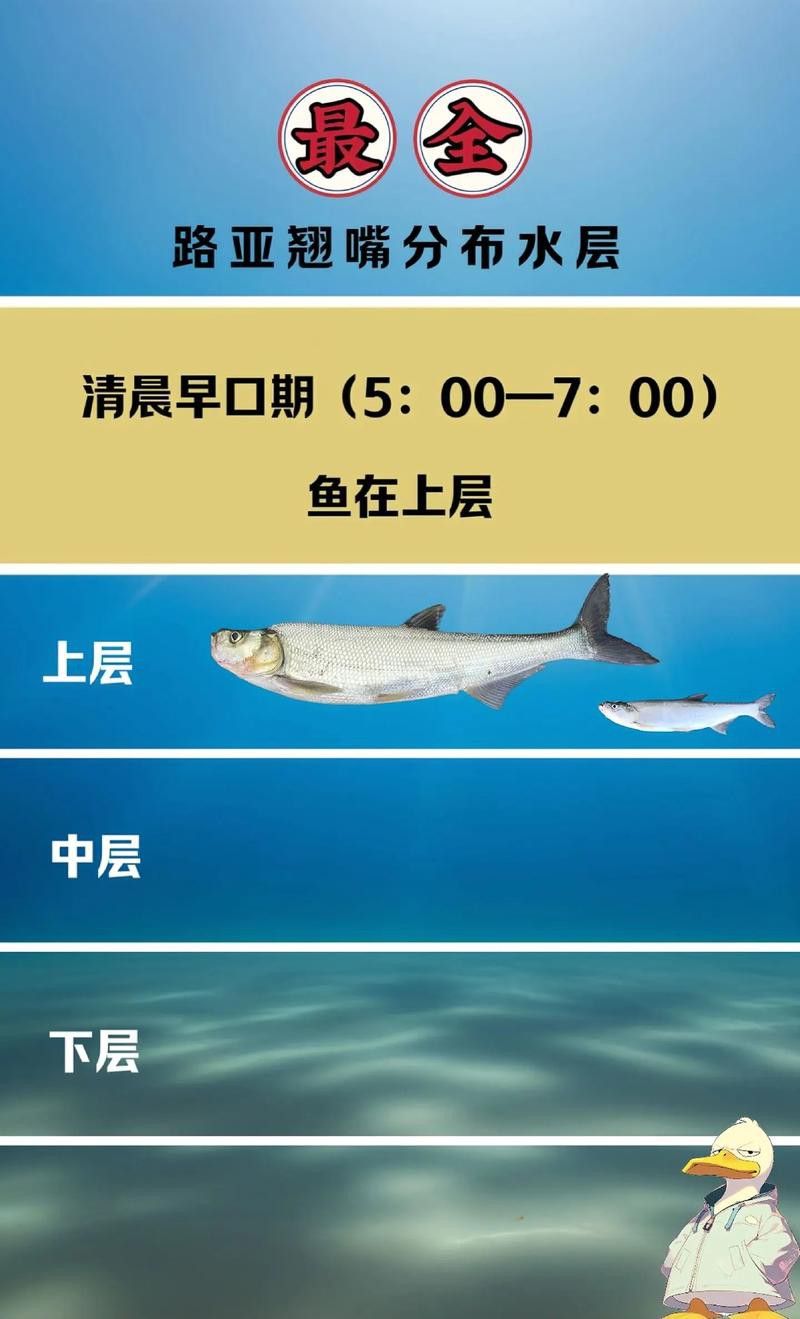 翹嘴魚和金龍魚的區(qū)別在哪里圖片