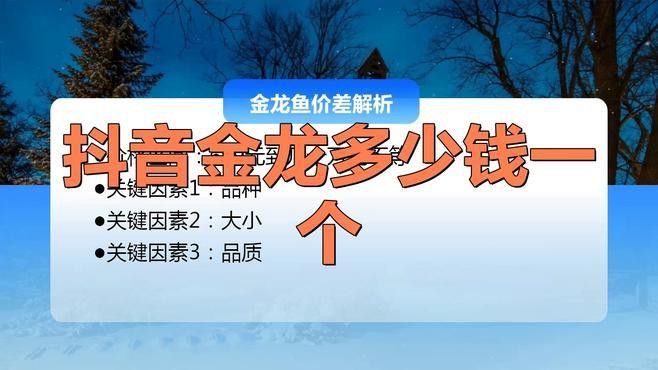 金龍魚在哪買便宜