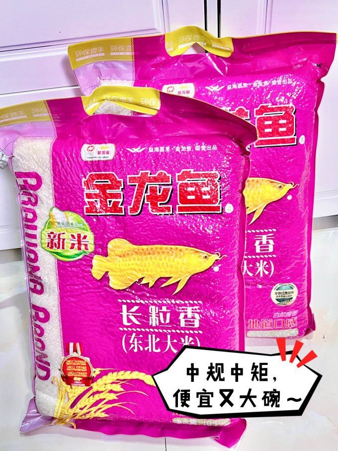 金龍魚在哪買便宜