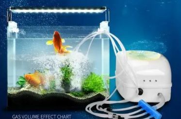 小型魚缸增氧泵怎么安裝圖解，如何選擇合適的魚缸增氧泵