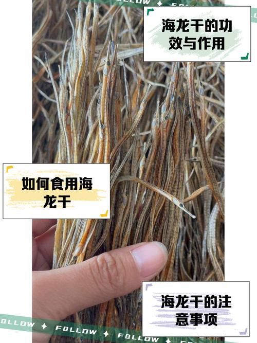 如何合法購買小海龍魚干？