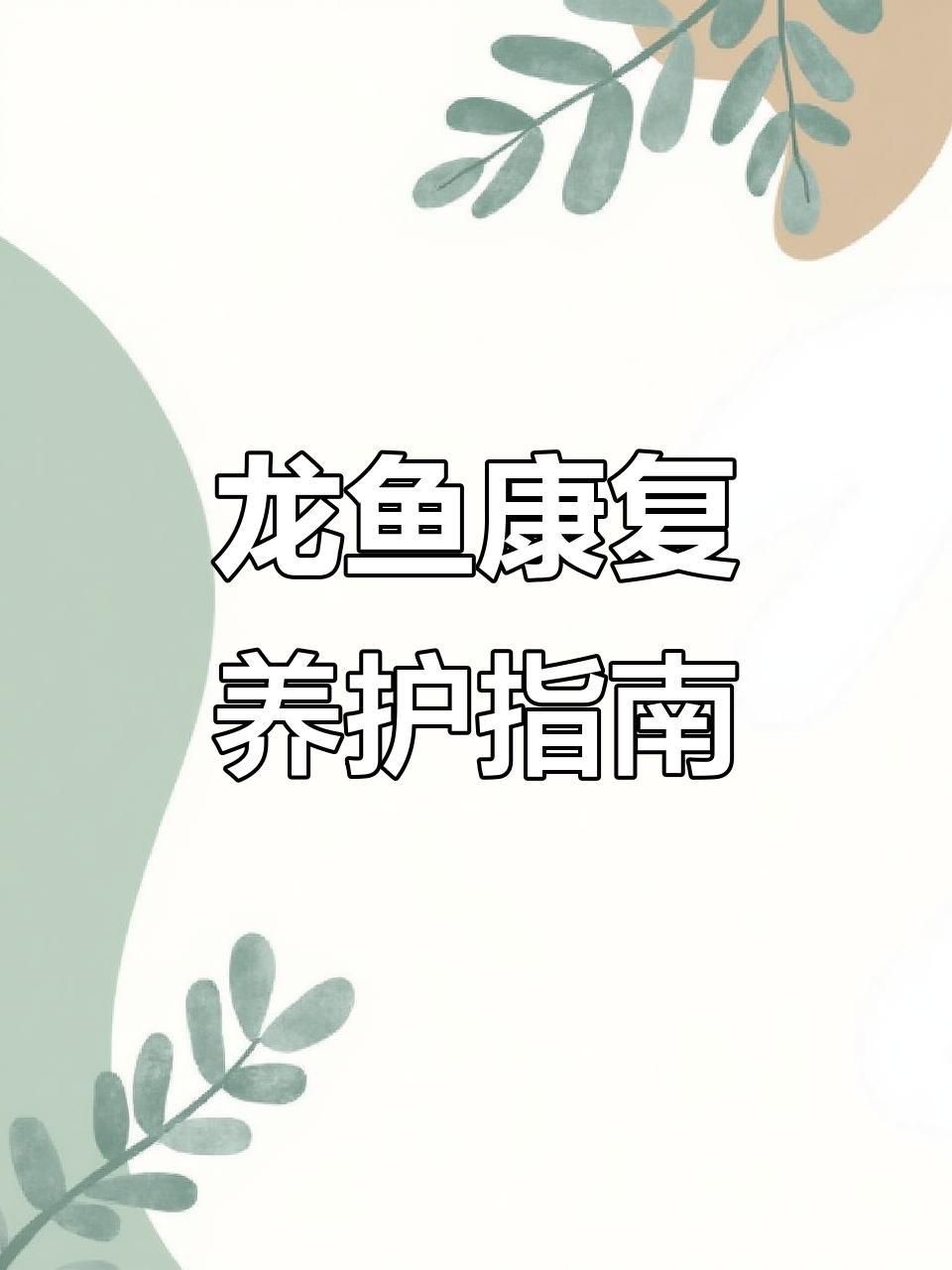 龍魚傷口自愈后如何護理？