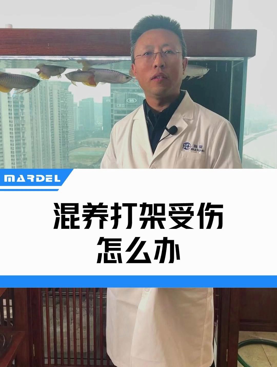 龍魚打架后如何護理傷口？