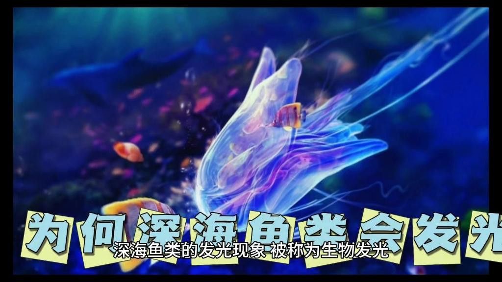 發光細菌對深海龍魚有何影響？
