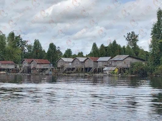 印尼小紅龍魚品牌營(yíng)銷案例分析：印尼小紅龍魚品牌利用社交媒體平臺(tái)和網(wǎng)紅合作增強(qiáng)客戶忠誠度