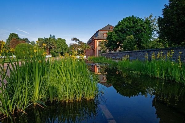 印尼小紅龍魚品牌營(yíng)銷案例分析：印尼小紅龍魚品牌利用社交媒體平臺(tái)和網(wǎng)紅合作增強(qiáng)客戶忠誠度