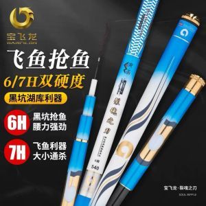 飛龍魚(yú)價(jià)格（飛鳳魚(yú)多少錢(qián)一條飛鳳魚(yú)一般多少錢(qián)一條飛鳳魚(yú)價(jià)格查查）