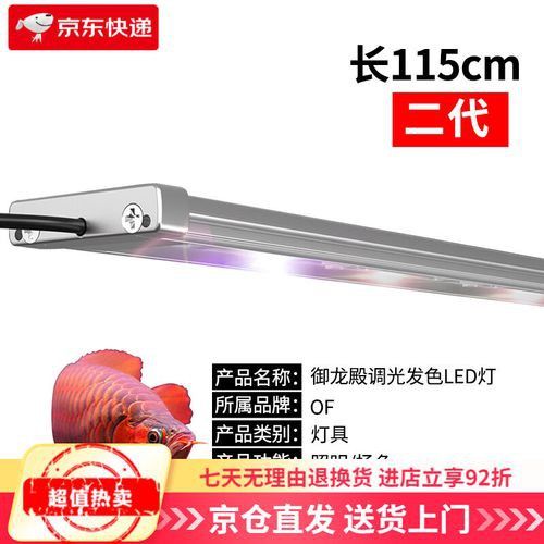 紅金龍魚(yú)飼養(yǎng)需要哪些專用設(shè)備？