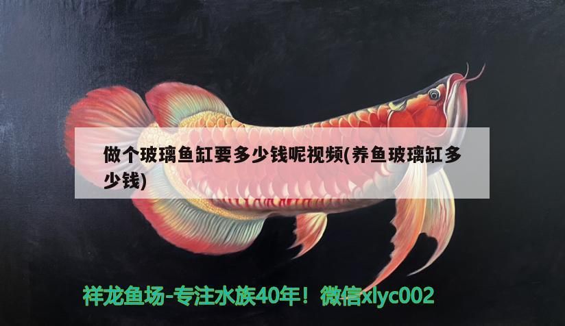 做個玻璃魚缸要多少錢呢視頻(養魚玻璃缸多少錢)