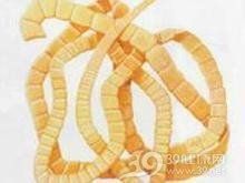 龍魚寄生蟲感染會傳染給人類嗎？