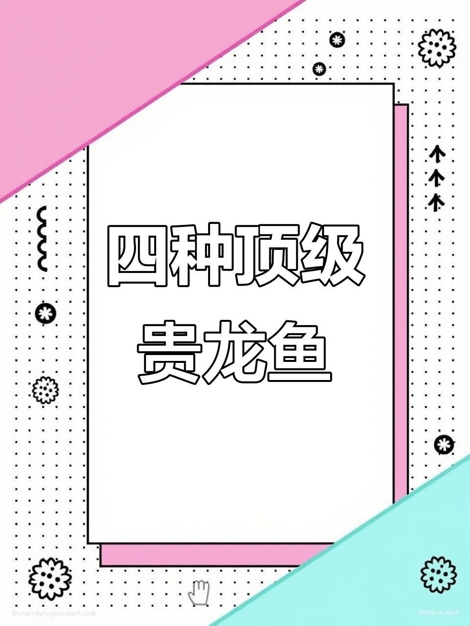 龍魚有哪些品種？