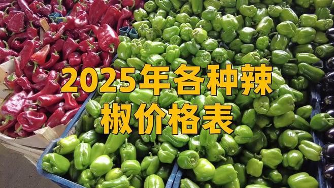 綠皮辣椒紅龍的價(jià)格是多少？