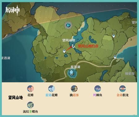 原神龍魚哪里多