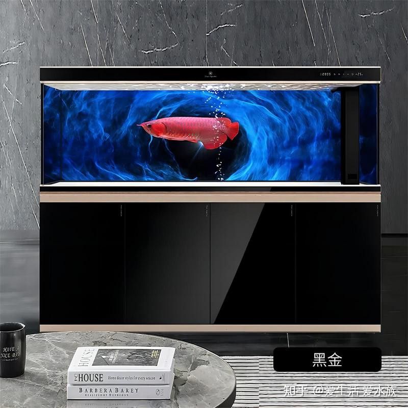 金龍魚魚缸最小尺寸是多少米