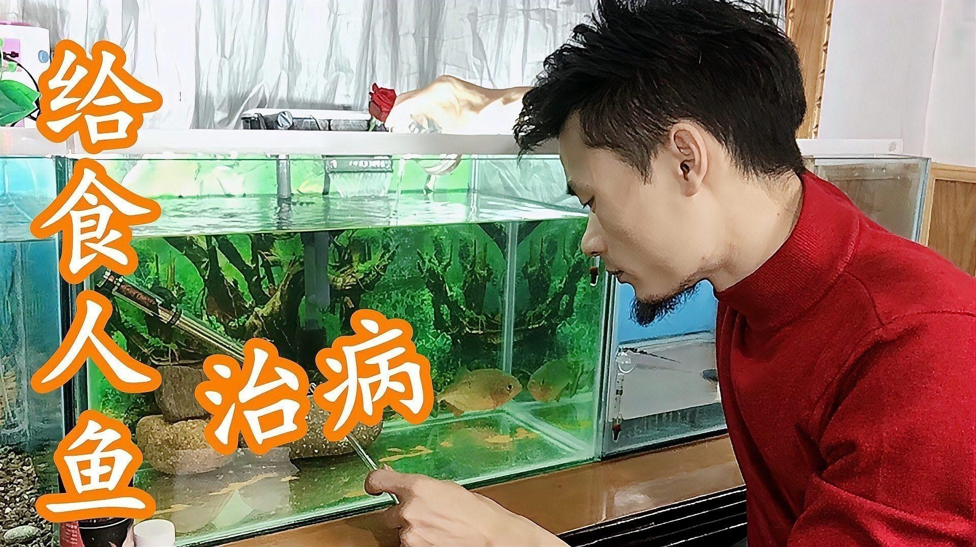 龍魚拉白色透明長條粑粑