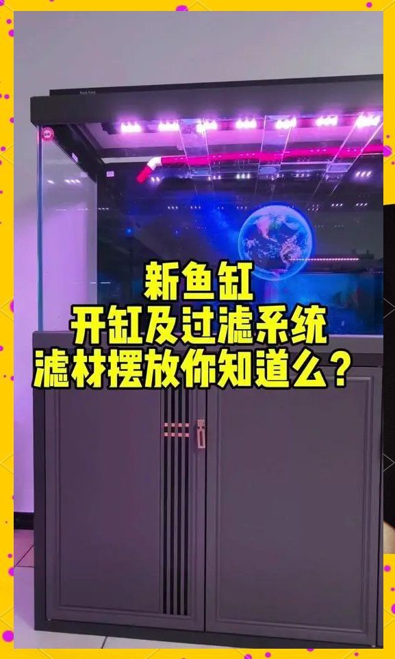 混養招財龍魚需要多大的過濾系統？