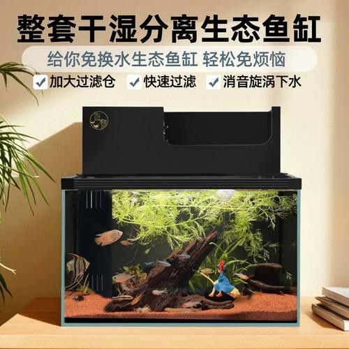 推薦幾款適合雷龍魚的魚缸品牌