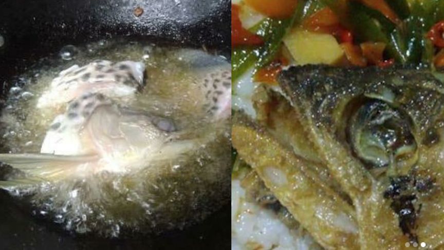 金龍魚怎么煮好吃：金龍魚怎么煮好吃金龍魚怎么煮好吃