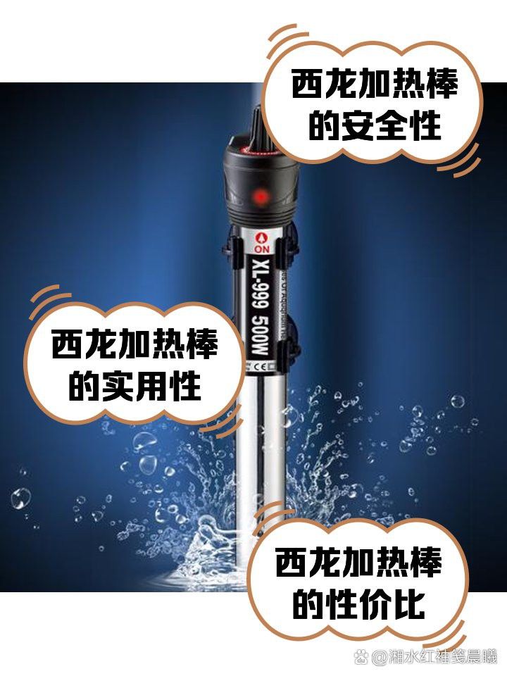 西龍魚缸加熱棒怎么樣