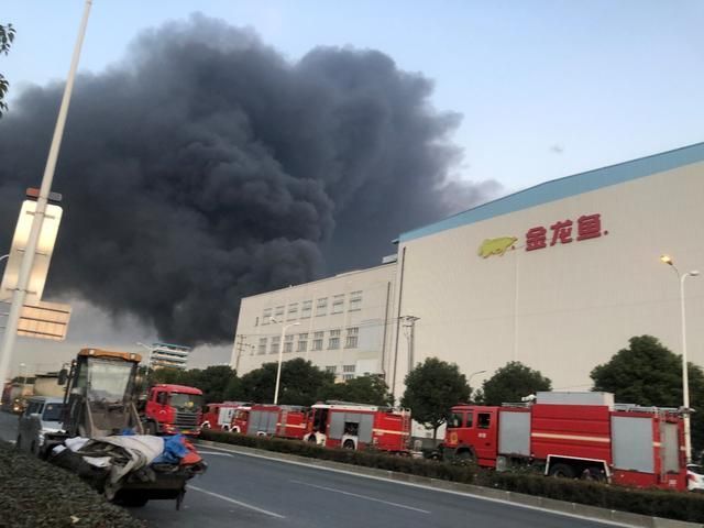 上海金龍魚總部工廠怎么樣（上海金龍魚總部工廠是什么樣的一個公司？）