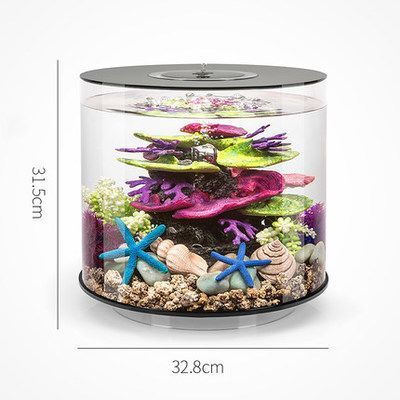 朱巴利魚混養(yǎng)伴侶選擇：朱巴利魚的伴侶選擇指南