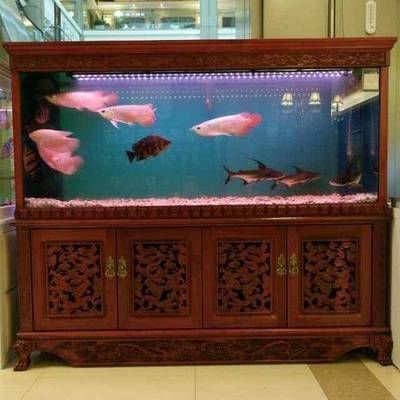 一進門正對著魚缸好嗎風水，如何布置魚缸提升家居風水