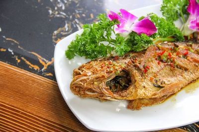 揭陽金龍魚：揭陽金龍魚信息發布中心