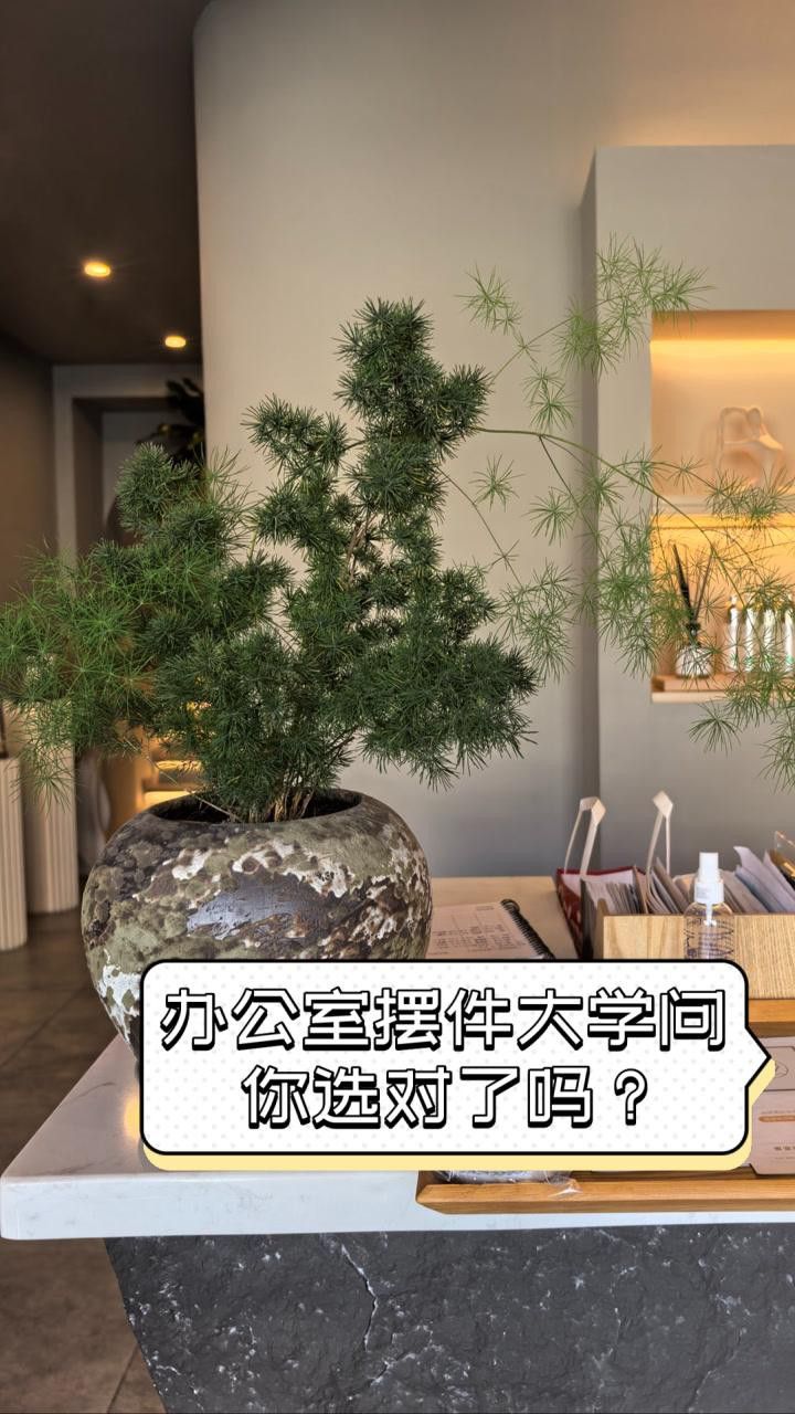 如何挑選高質(zhì)量的龍魚擺件？