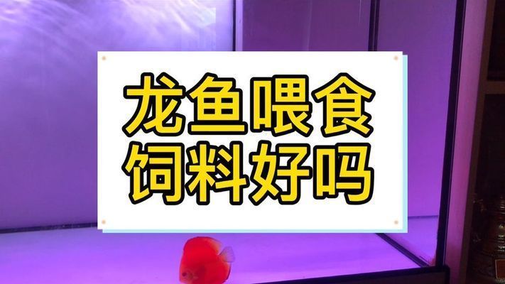 龍魚發色吃什么最好呢圖片欣賞：龍魚發色時的飲食是影響其顏色變化的重要因素的重要因素