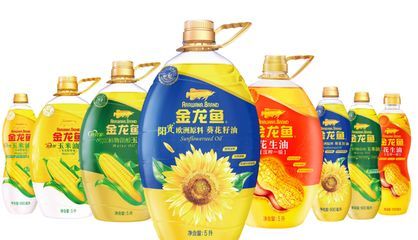 金龍魚在福建的業務涉及多個領域：金龍魚在福建有哪些業務？